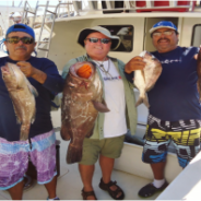 Pisces Weekly Fish Report February 27th to March 1st, 2016
