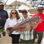 Pisces Weekly Fish Report April 16th to 22th, 2016