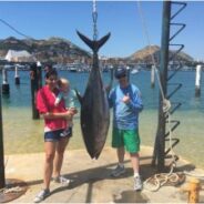 Pisces Weekly Fish Report October 1st to 7th, 2016