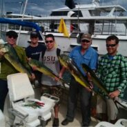 Pisces Fish Report Dec 14 to 20, 2013