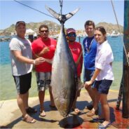 Pisces Weekly Fish Report August 6th to 12th, 2016