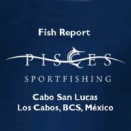 PISCES WEEKLY FISH REPORT of January 3rd to 9th, 2015