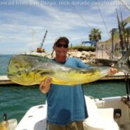 PISCES WEEKLY FISH REPORT AUGUST 9th to 15th, 2015