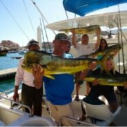 PISCES WEEKLY FISH REPORT of January 31st to February 6th, 2015