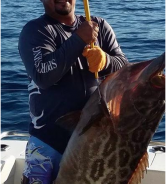 Pisces Weekly Fish Report March 26th to April 8th, 2016