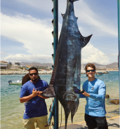 Pisces Weekly Fish Report July 30th to August 05th, 2016
