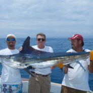 PISCES WEEKLY FISH REPORT AUGUST 23RD TO 29TH, 2014