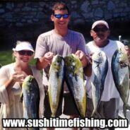 Sushi Time Sport Fishing – Fish Report thru the 26th of June, 2014