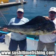 Sushi Time Fish Report thru the 24th of July, 2014