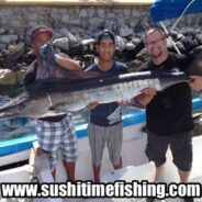 Sushi Time Fish Report to 23 January