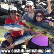 Sushi Time Fish Report to 9 January