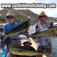 Sushi Time Fish Report to 19 December