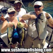 Sushi Time Fish Report thru the 30th of July, 2014