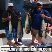 Sushi Time Fish Report to March 28th 2014