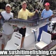Sushi Time Fish Report to 05 December