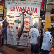Western Outdoor News Los Cabos Tuna Jackpot 2013