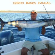 Gordo Banks Fishing Report Oct 26, 13