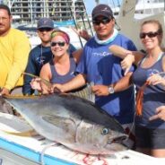 Pisces Fish Report Nov 02 to Nov 07, 2013