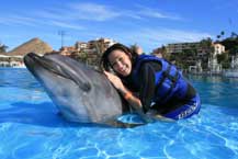 Cabo Dolphins