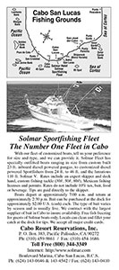 Solmar Fleet Rack Card - 2002 - back - black and white