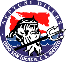 Welcome to Neptune Divers in Cabo San Lucas