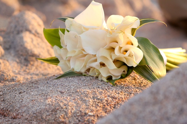 Emporio Arte Floral - Cabo San Lucas, Los Cabos, Mexico