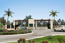 Privanzas - Los Cabos