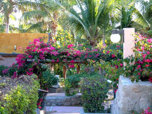 hotel buena vista beach resort and spa