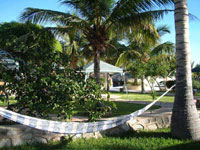 hotel buena vista beach resort and spa