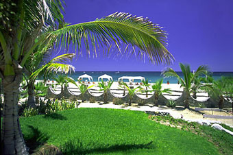 hotel buena vista beach resort and spa