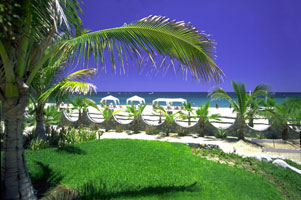 hotel buena vista beach resort and spa