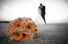 Wedding - Baja California Sur