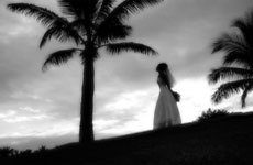 Photographer - Wedding