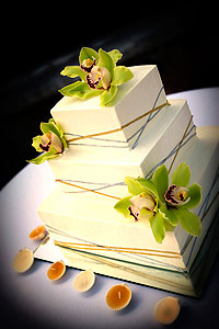 Juan Carlos Tapia Photography