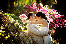 Wedding - San Jose del Cabo