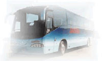 Los Cabos Free Shuttle - Tourist Transportation