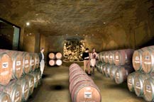 Los Cabos Winery - climate controlled wine cave - Cabo San Lucas, Mexico