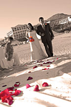 Mango Weddings - Los Cabos