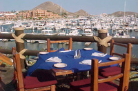 Seafood Cabo San Lucas - Margaritavilla