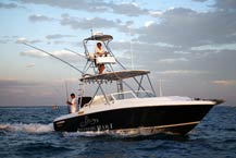 A Baja Fishing Experience - Mona Lisa Charters - Cabo San Lucas, Los Cabos, Mexico 