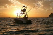 Mona Lisa Fishing Charters - Cabo San Lucas, Los Cabos, Mexico 