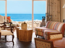 one and only palmilla