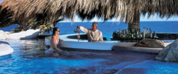 one and only palmilla