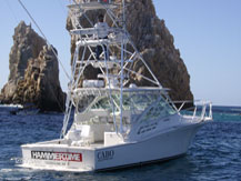 Paradise Sportfishing - Cabo San Lucas
