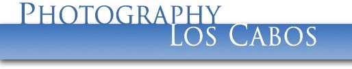 photography los cabos - commercial photography  - los cabos, mexico
