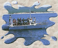 Amigos del Mar - Los Cabos