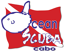 ocean scuba cabo