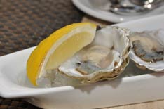 Raw oysters at Sonoma Wine Garden - Cabo San Lucas
