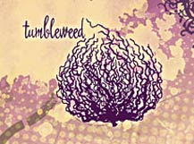 Tumbleweed Boutique - Cabo San Lucas