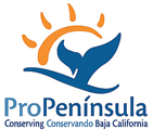 Pro Peninsula